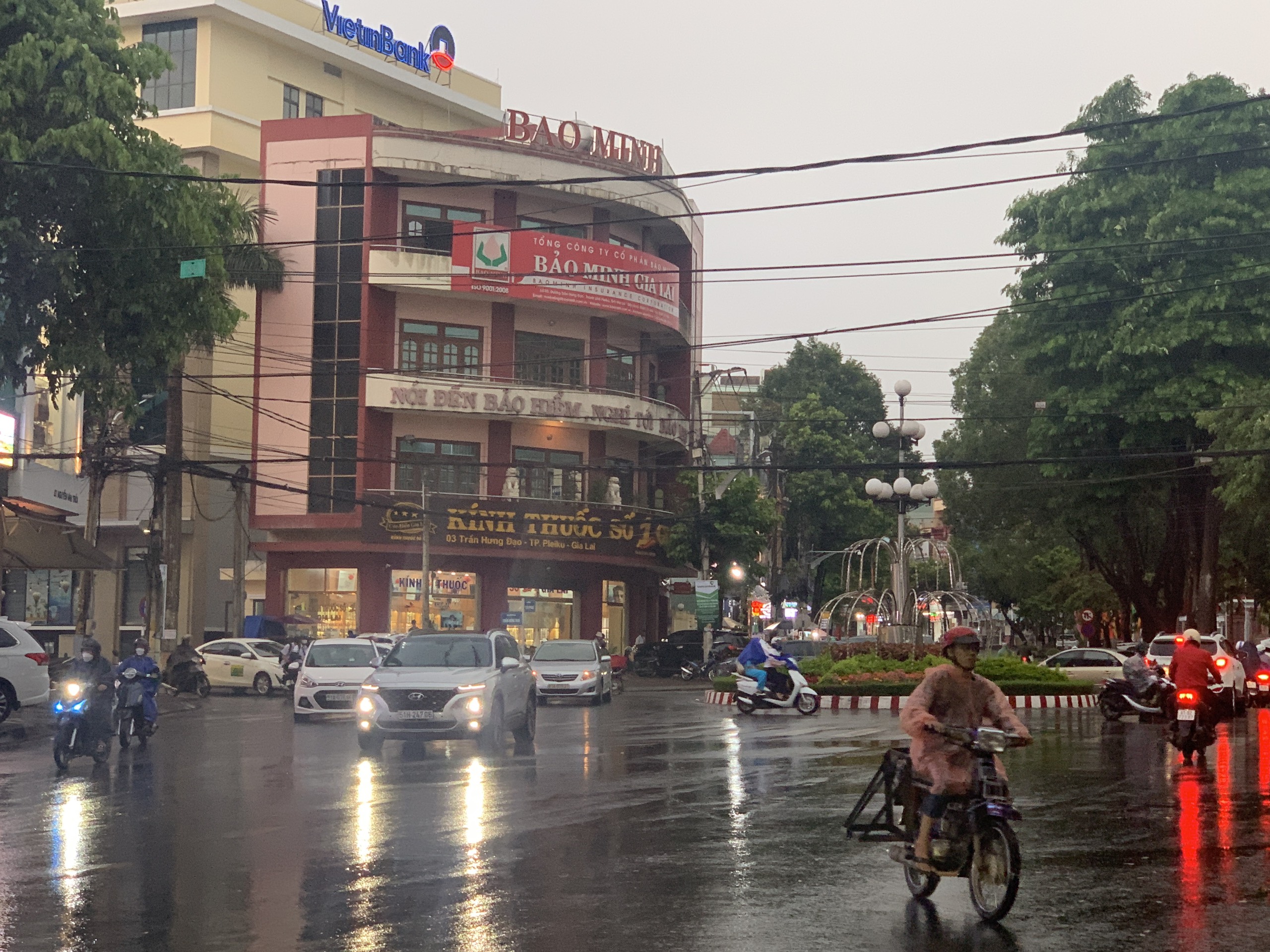 Trên địa bàn tỉnh Gia Lai đã xuất hiện "cơn mưa vàng"- Ảnh 1.