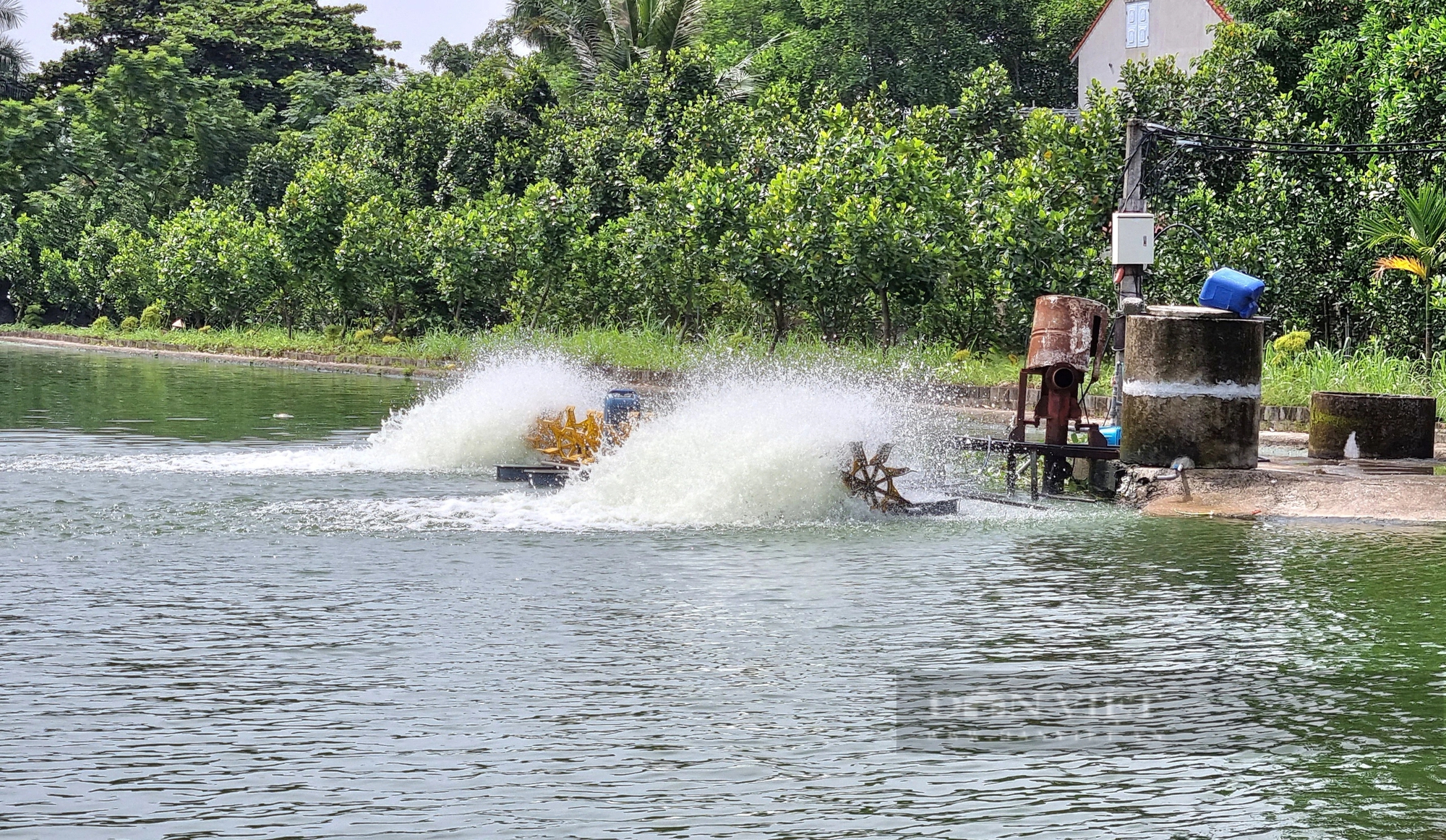 Một huyện ở Ninh Bình đang áp dụng những cách hay này để xây dựng nông thôn mới nâng cao - Ảnh 9.