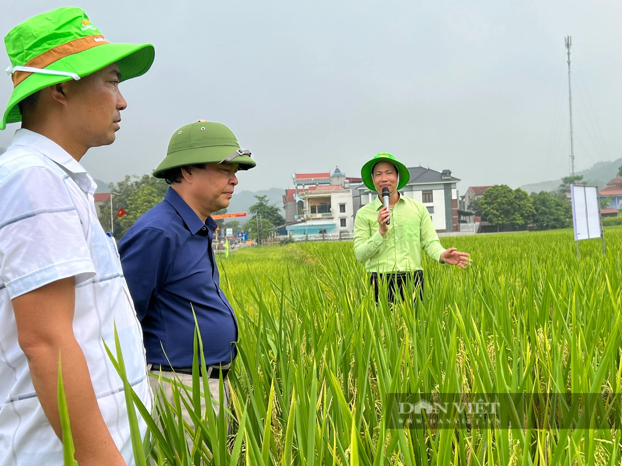 Được mùa lúa xuân, nông dân đất Tổ phấn khởi, đi gặt mà cười tươi như hoa- Ảnh 4.