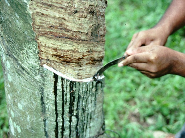 Nguồn cung giảm trong khi nhu cầu từ các nhà máy tăng đã hỗ trợ giá cao su đi lên- Ảnh 1.