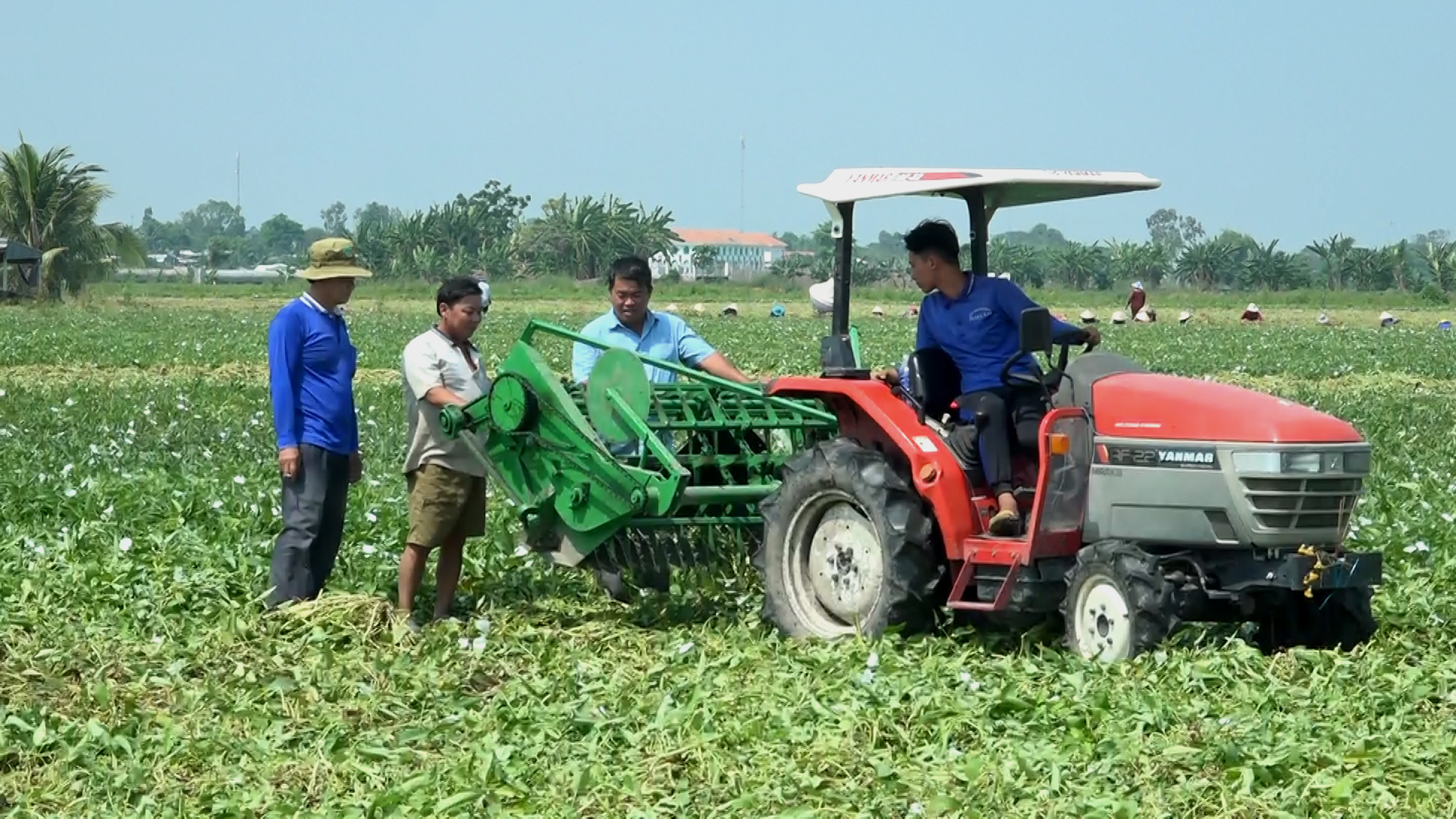 Sáng chế nông cụ độc đáo gắn sau cái máy cày, một người An Giang được cả làng phục lăn- Ảnh 1.