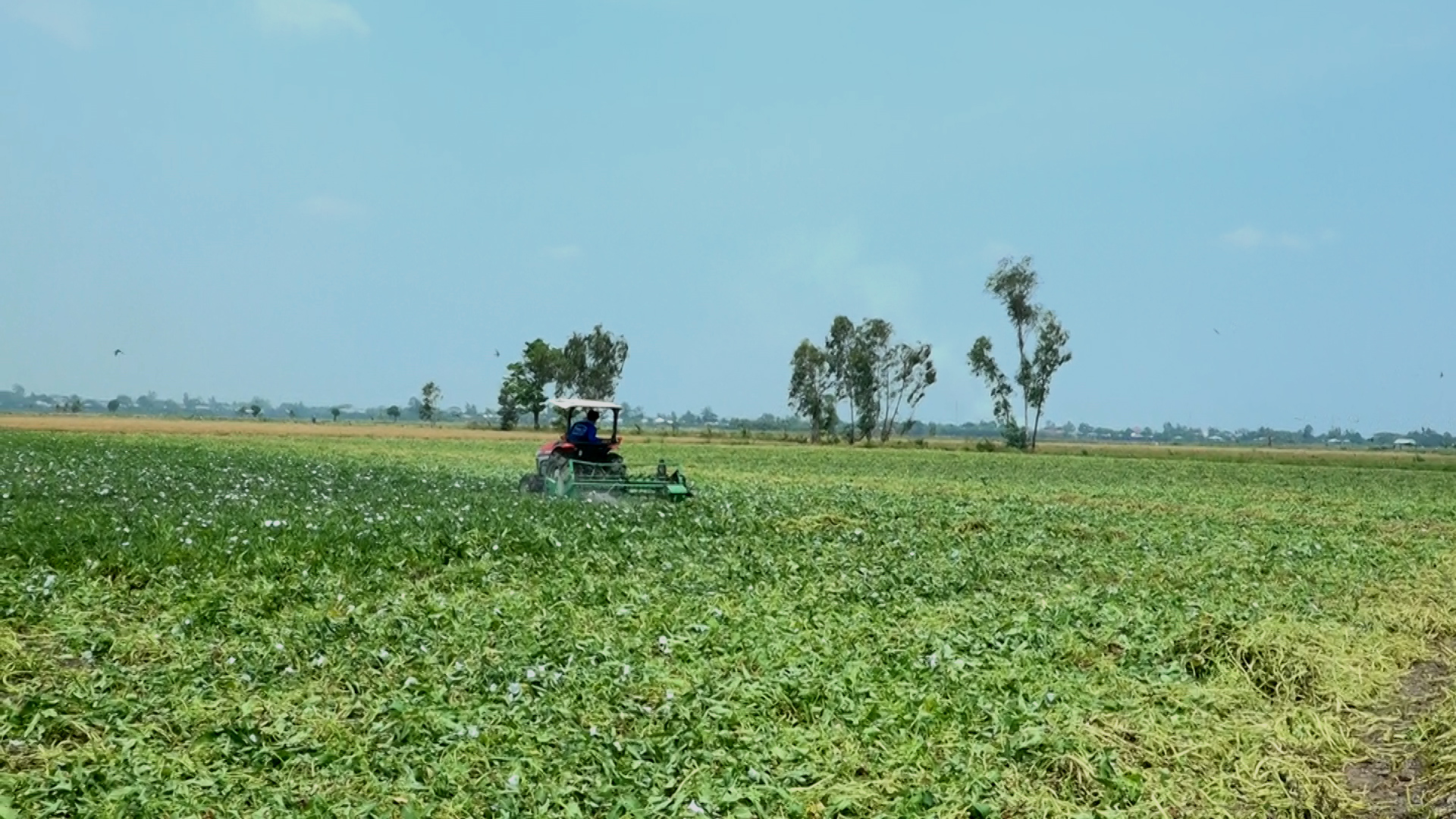 Sáng chế nông cụ độc đáo gắn sau cái máy cày, một người An Giang được cả làng phục lăn- Ảnh 2.