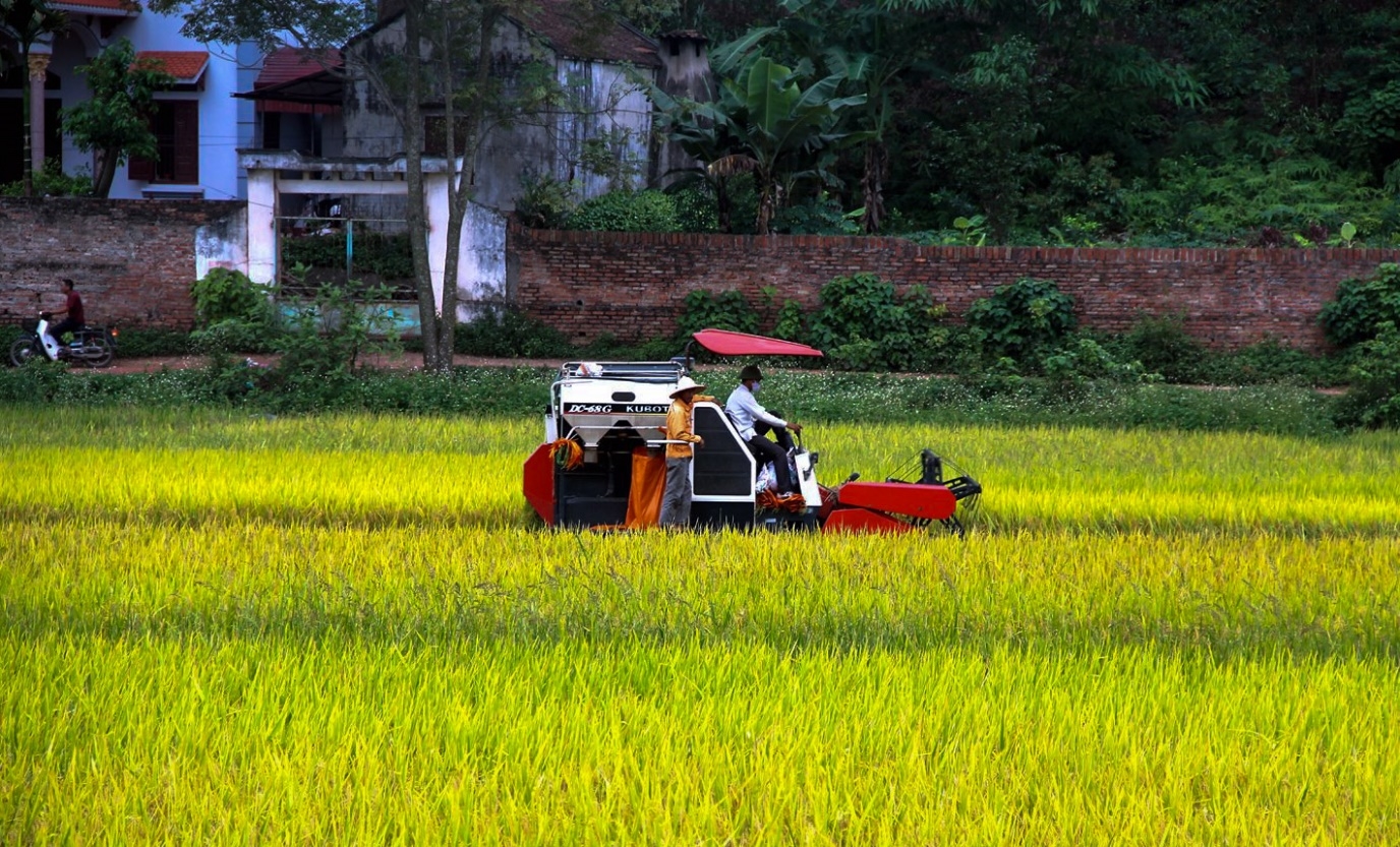 Bắc Giang: Từ đột phá trong xây dựng nông thôn mới đến những làng quê đáng sống- Ảnh 2.