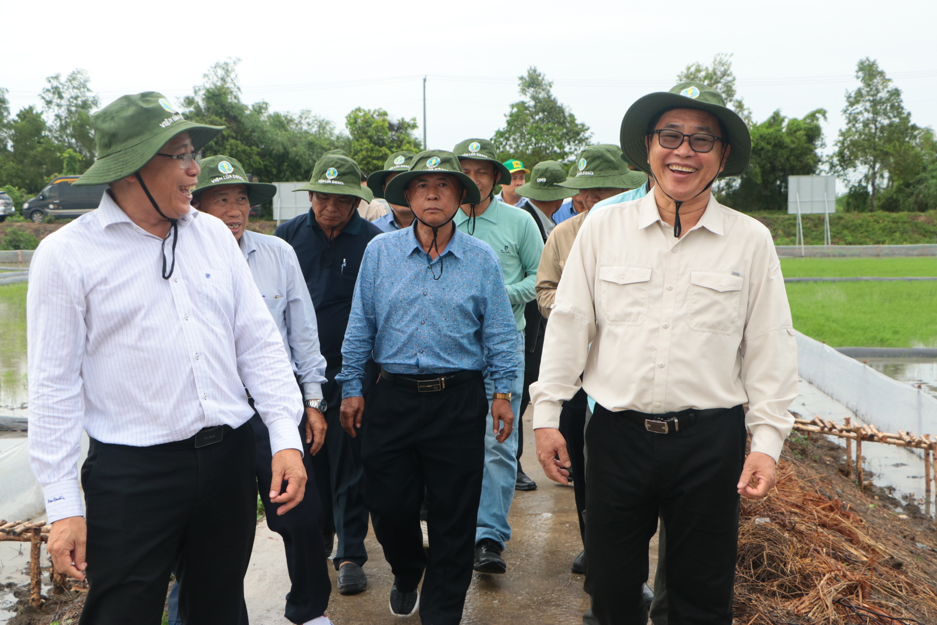 Bộ Nông - Lâm - Ngư nghiệp Campuchia và tỉnh Tà Keo tham quan mô hình lúa giảm phát thải tại ĐBSCL- Ảnh 3.