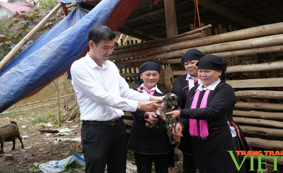 Đây là cách Trưởng thôn người Dao ở Lào Cai giúp bà con trong bản thoát nghèo- Ảnh 1.