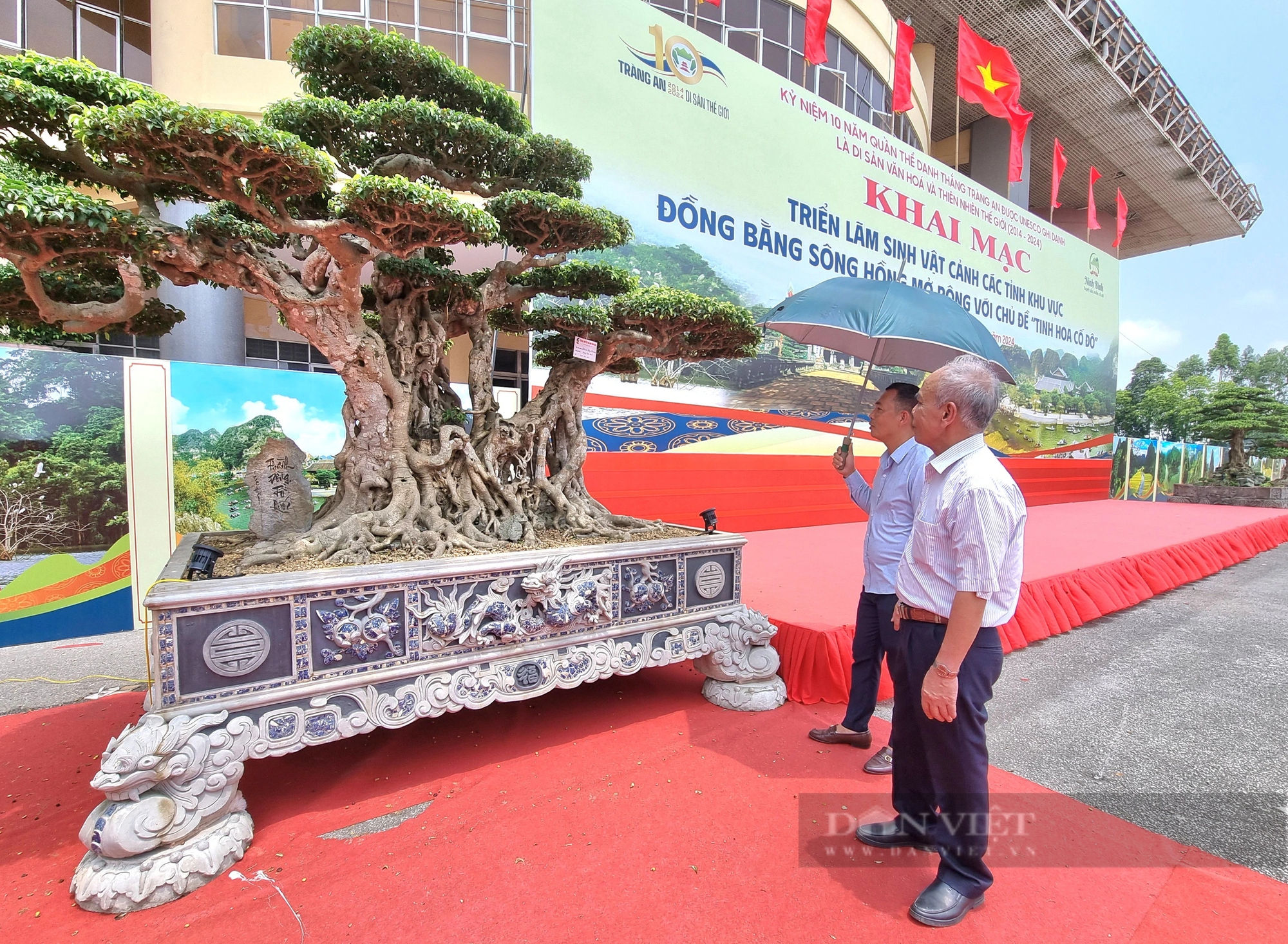 Một cây cổ thụ làm cảnh có tên “Thành đồng tổ quốc” trị giá gần 50 tỷ ở Ninh Bình- Ảnh 7.