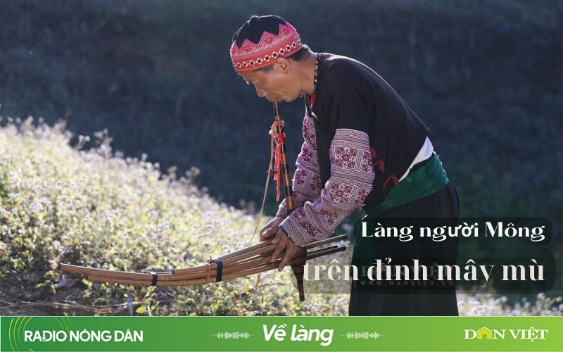 Làng người Mông trên đỉnh mây mù- Ảnh 1.