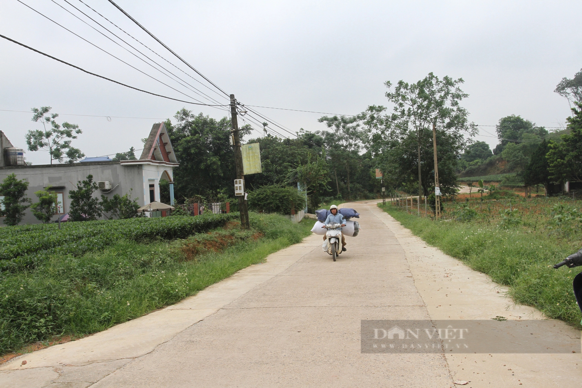 Đây là xã được chọn xây dựng nông thôn mới thông minh ở Thái Nguyên- Ảnh 3.