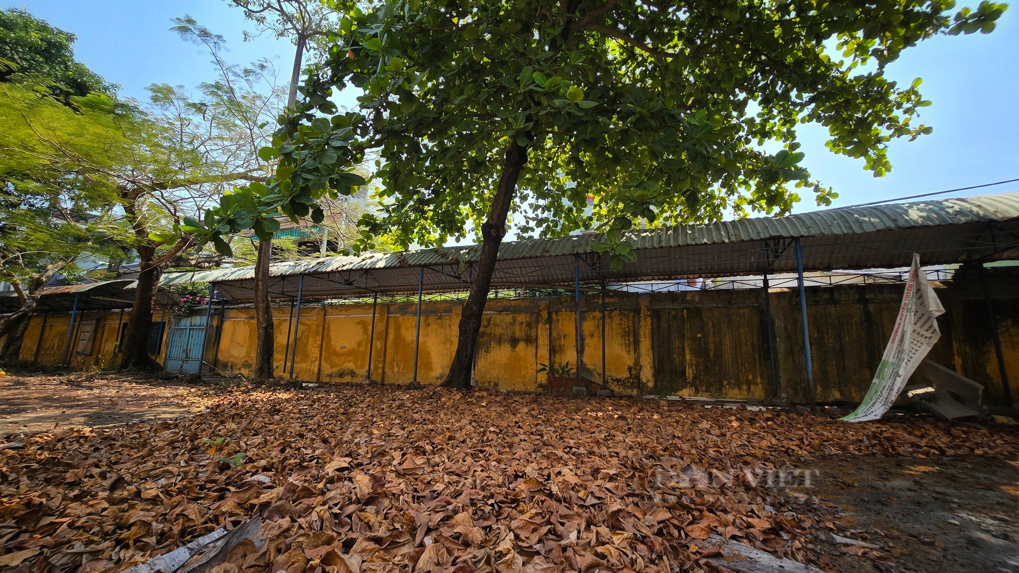 Cảnh nhếch nhác bên trong trung tâm giáo dục nằm trên "đất vàng" tại Đà Nẵng- Ảnh 7.