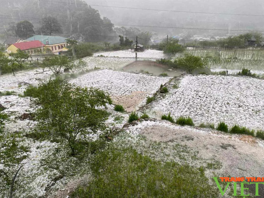 Hơn 4.800 nhà dân ở tỉnh Sơn La bị thiệt hại do thiên tai- Ảnh 1.