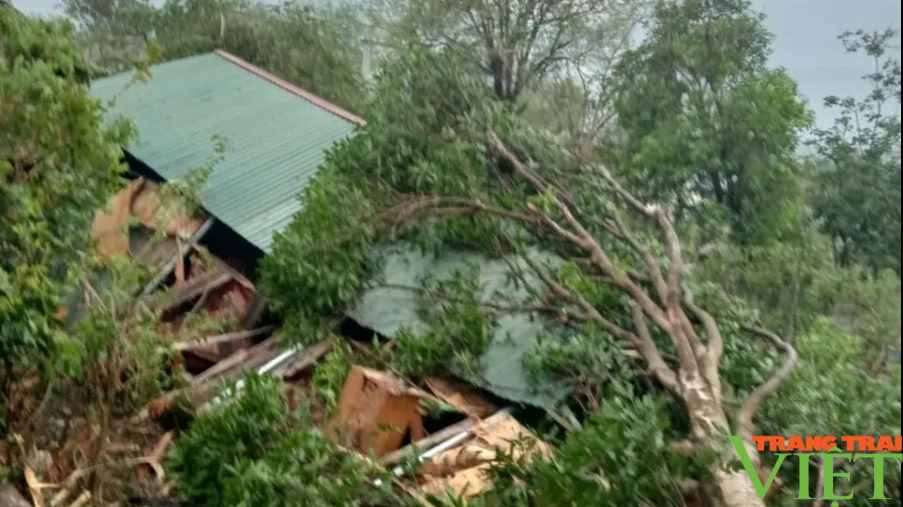 Hơn 4.800 nhà dân ở tỉnh Sơn La bị thiệt hại do thiên tai- Ảnh 2.