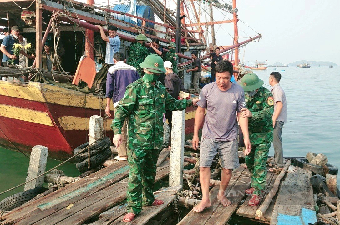 Vụ chìm tàu cá ở Quảng Bình: 1 người tử vong, 11 người đang mất tích- Ảnh 2.