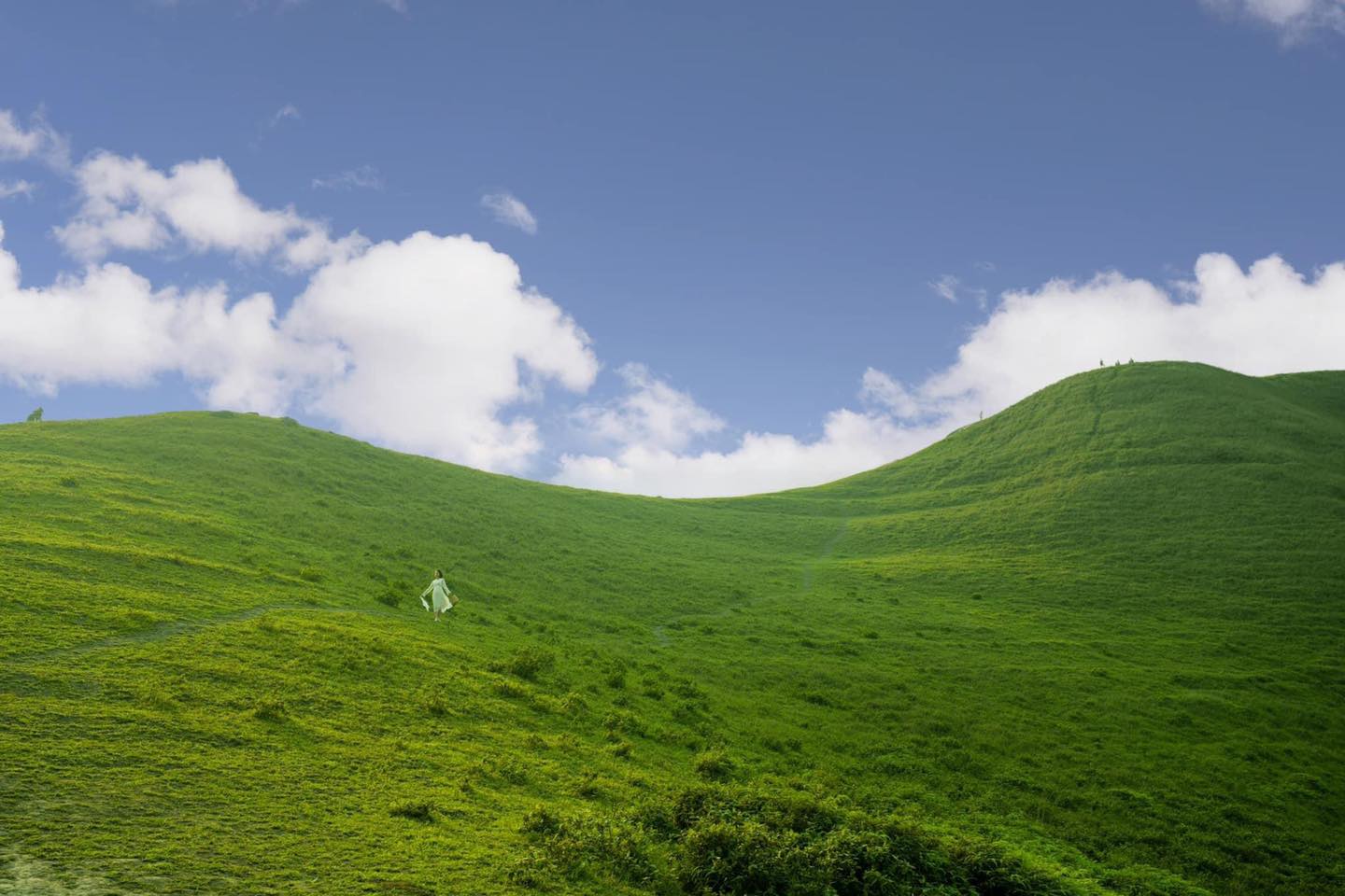 Mê mẩn đồi cỏ xanh rì, check-in siêu đẹp tại địa điểm này ở Cao Bằng- Ảnh 3.