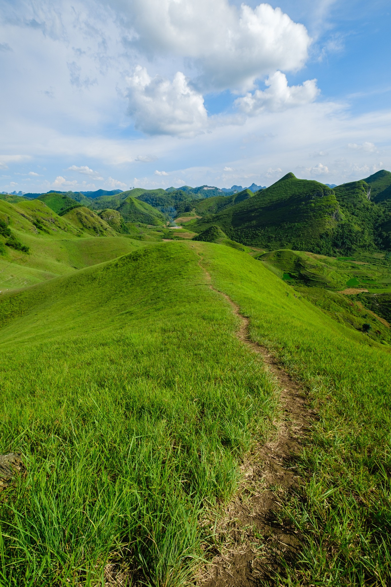 Mê mẩn đồi cỏ xanh rì, check-in siêu đẹp tại địa điểm này ở Cao Bằng- Ảnh 5.
