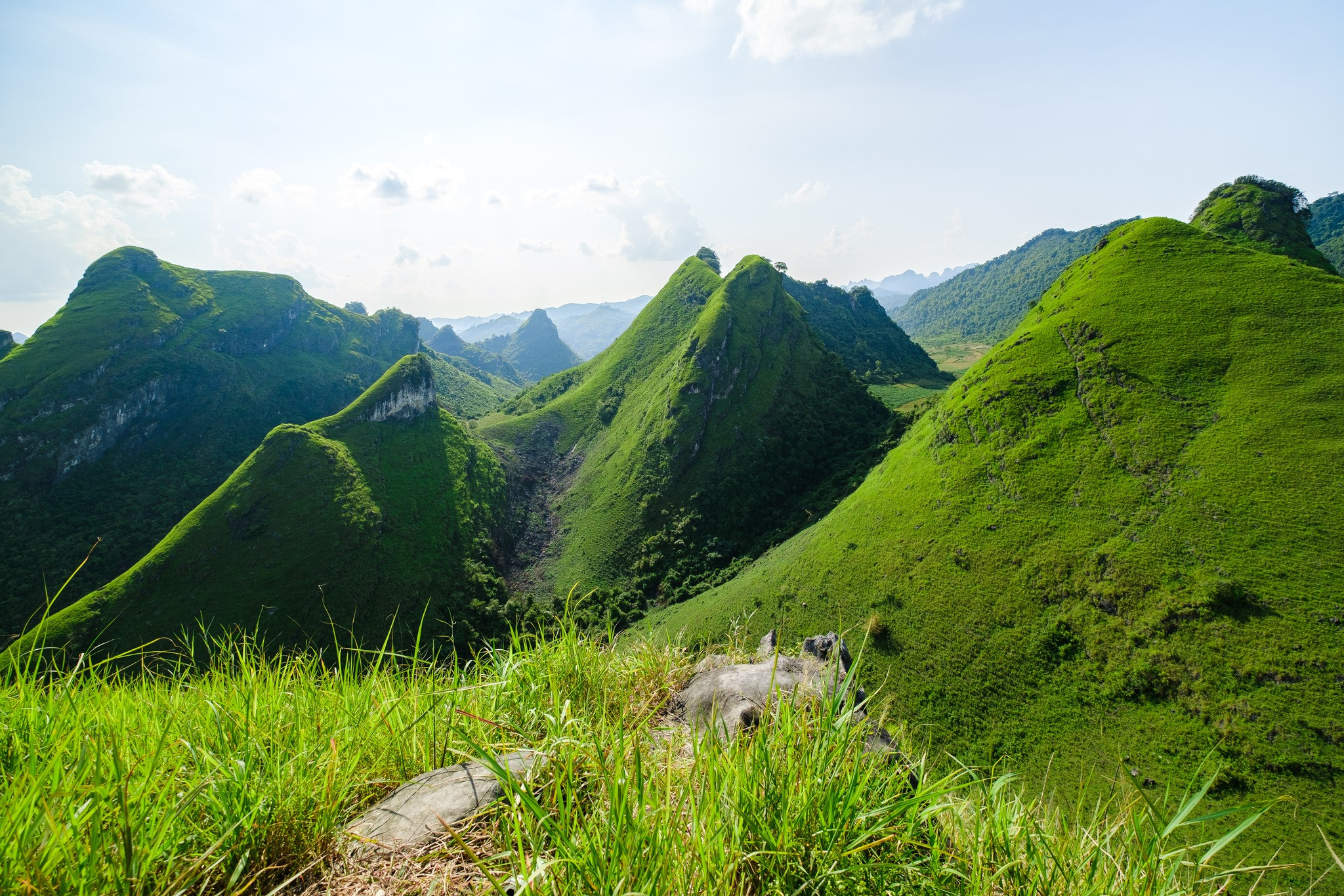 Mê mẩn đồi cỏ xanh rì, check-in siêu đẹp tại địa điểm này ở Cao Bằng- Ảnh 1.