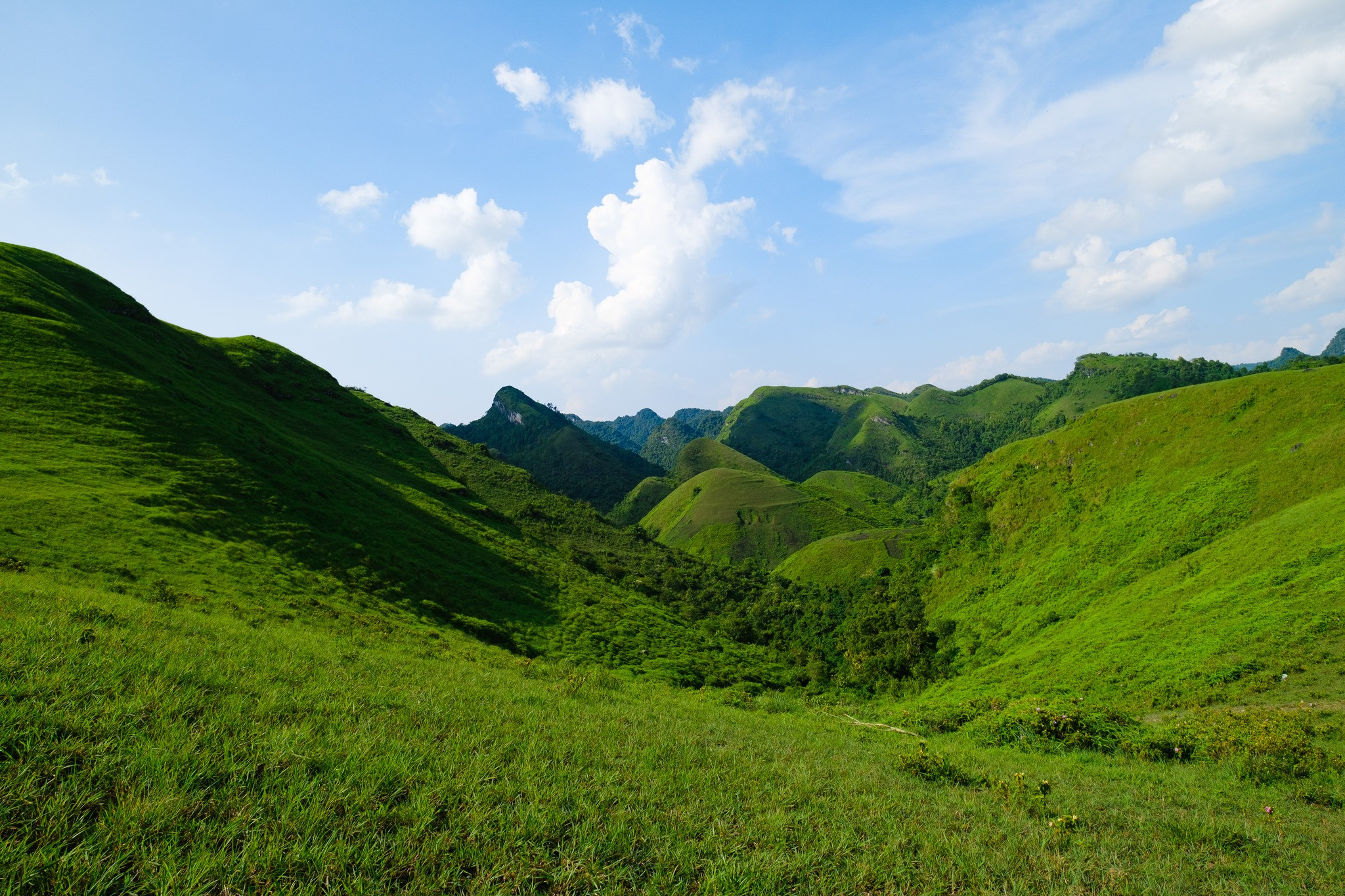 Mê mẩn đồi cỏ xanh rì, check-in siêu đẹp tại địa điểm này ở Cao Bằng- Ảnh 6.