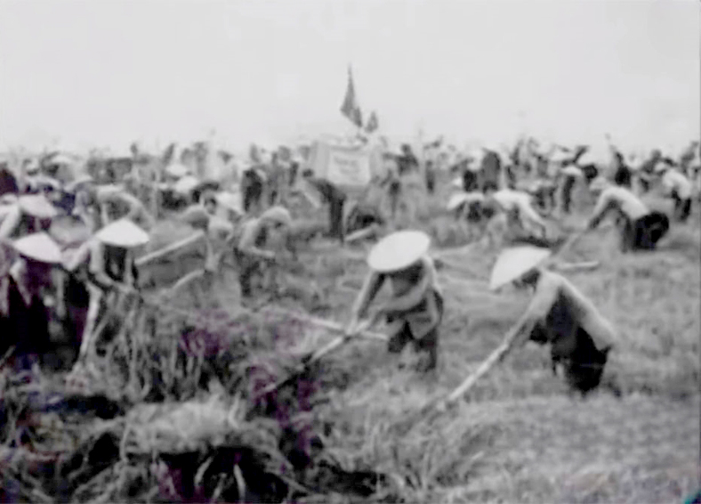 70 năm Chiến thắng Điện Biên Phủ: Những người trở lại nơi chiến địa đổ máu, hồi sinh thửa đất cằn- Ảnh 3.