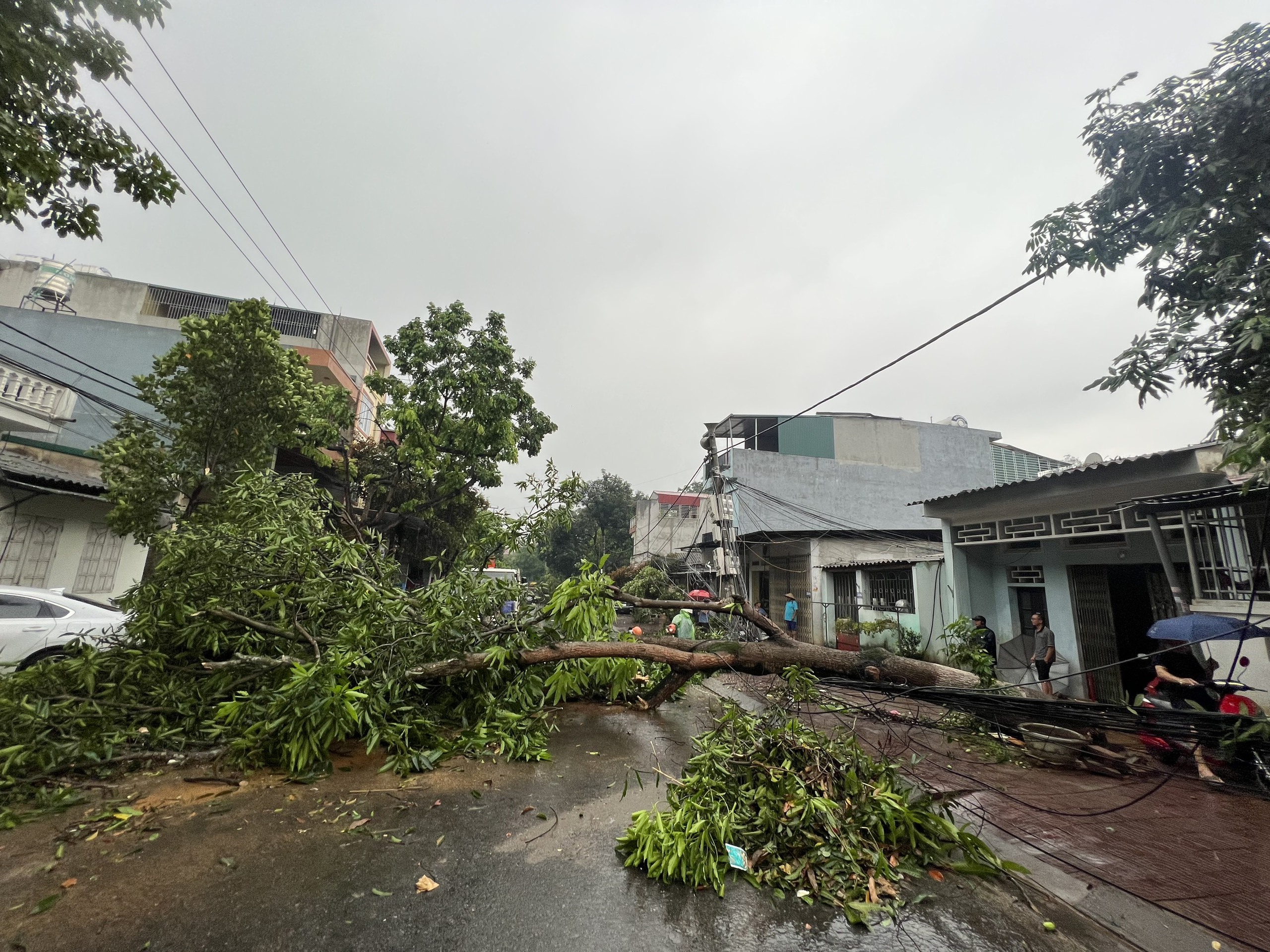 Hàng trăm ngôi nhà ở Lào Cai bị tốc mái, đổ sập do giông lốc- Ảnh 4.