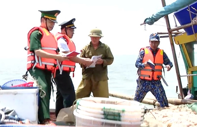 Tỉnh có đội tàu nhỏ bé nhất trong 28 tỉnh, thành ven biển của Việt Nam nỗ lực gỡ "thẻ vàng" IUU - Ảnh 2.