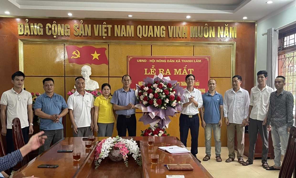 Huyện Ba Chẽ của Quảng Ninh ra mắt HTX phát triển sản phẩm OCOP từ cây ba kích tím- Ảnh 1.