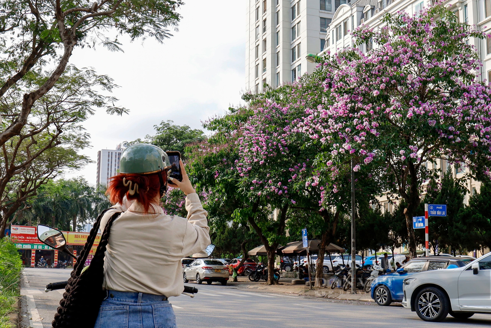 Cơn sốt bằng lăng tím nở rộ tại Thủ đô, giới trẻ thi nhau lưu giữ khoảnh khắc đẹp- Ảnh 11.