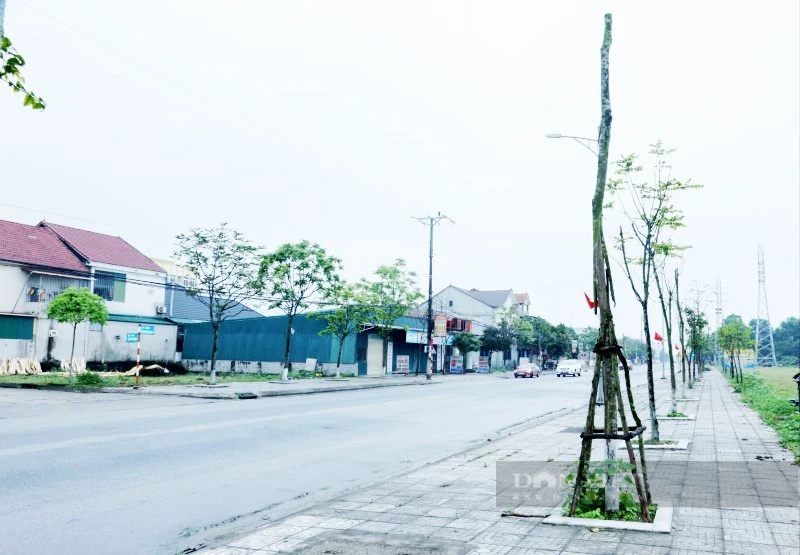 Bộ Công an đề nghị Bình Phước và Đồng Nai cung cấp hồ sơ liên quan tới Công ty TNHH cây xanh Công Minh- Ảnh 2.