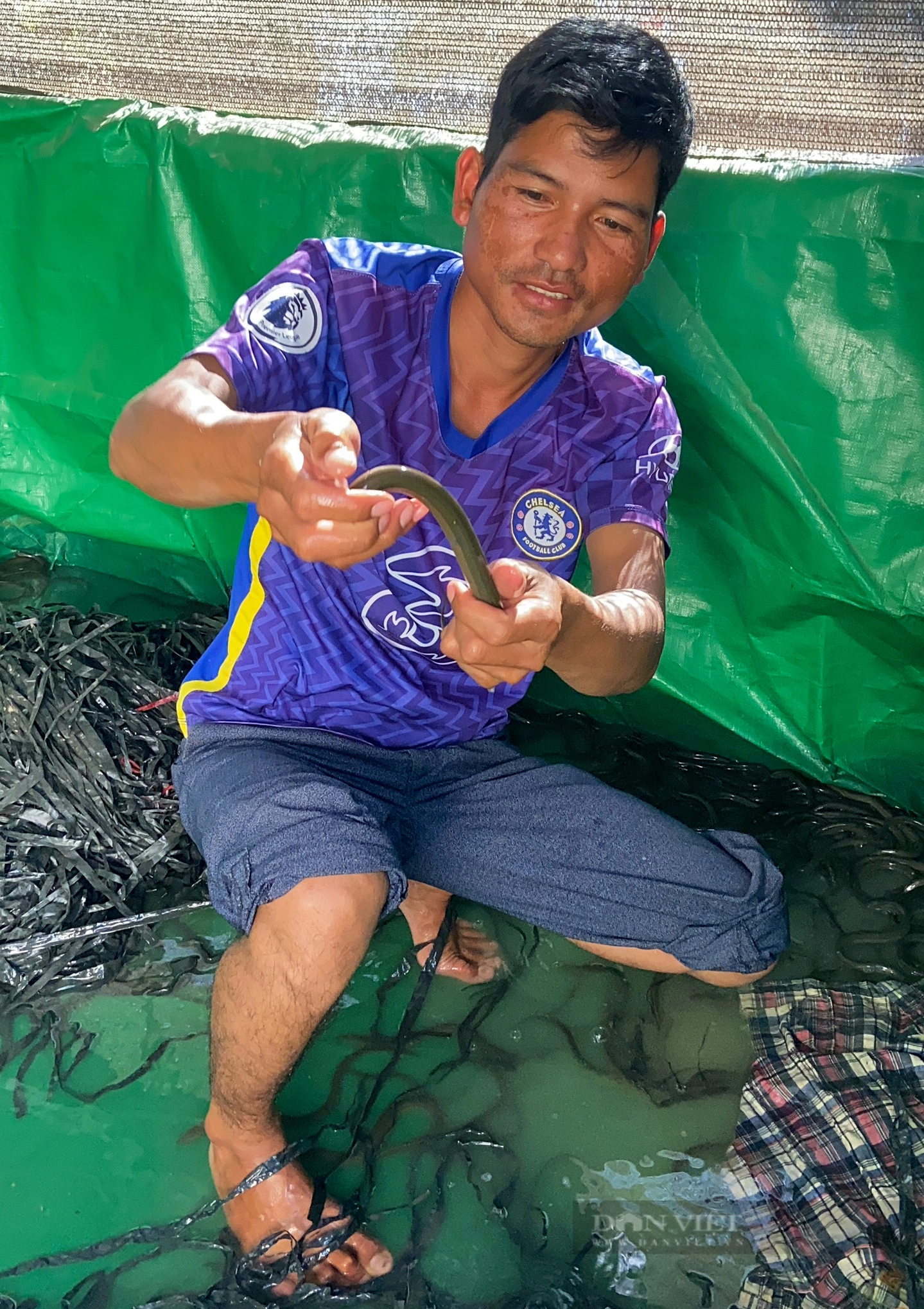 Ở Kon Tum, dân nuôi lươn con đặc sản dày đặc, bán thu tiền quanh năm, nhiều người đang đến xem- Ảnh 3.