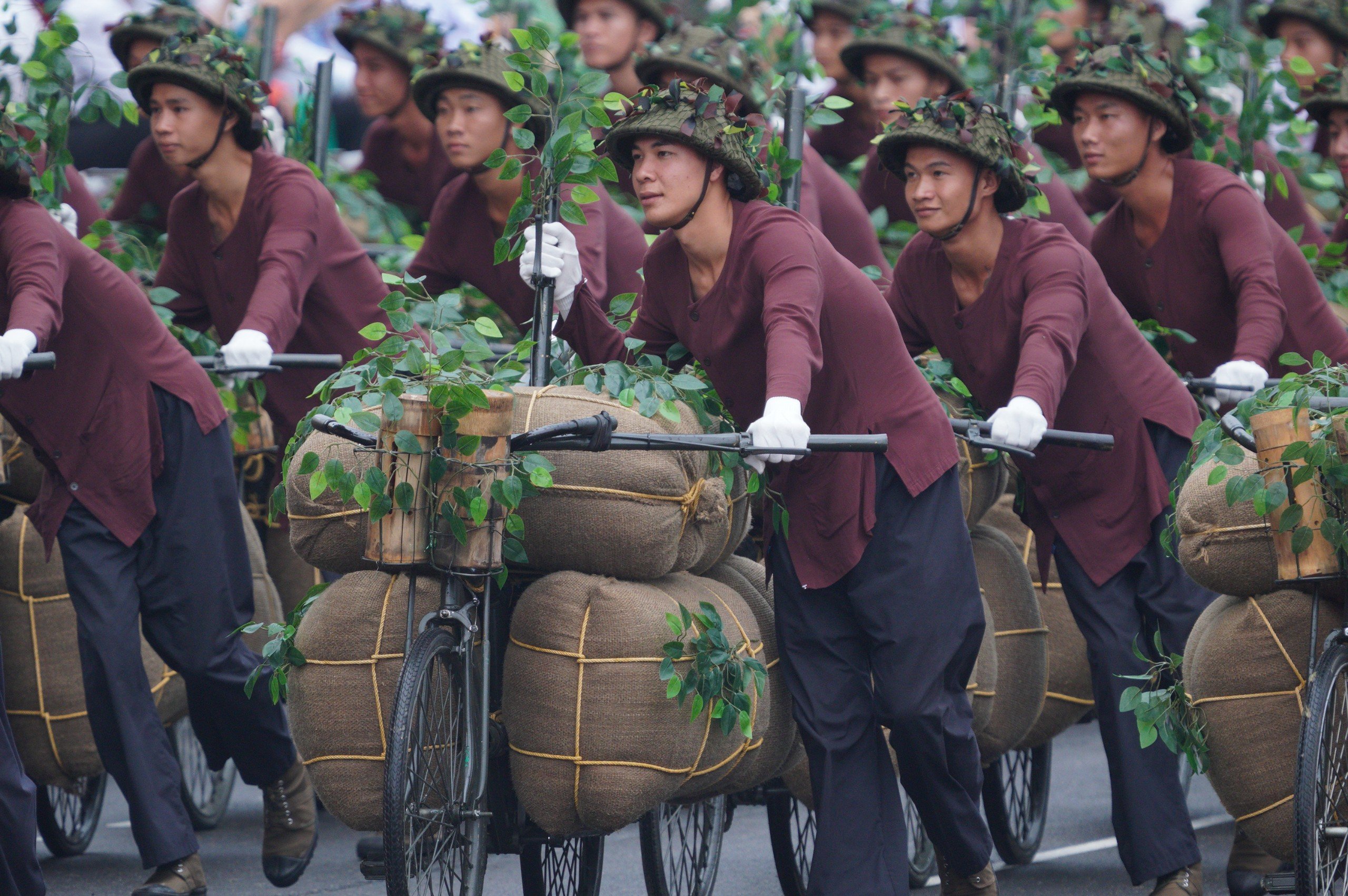 Lễ diễu binh, diễu hành kỷ niệm 70 năm Chiến thắng Điện Biên Phủ- Ảnh 2.