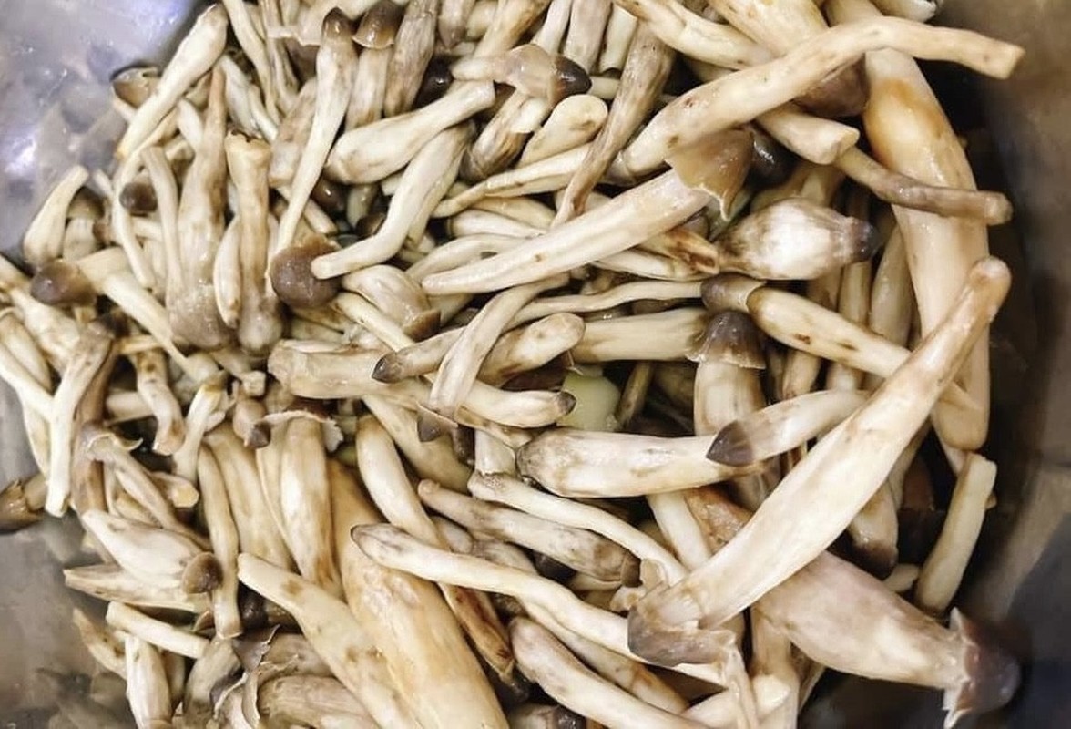 Những loại nấm có dinh dưỡng cao, giá đắt đỏ luôn “cháy hàng” ở Việt Nam: Loại thứ 3 thuộc hàng "hiếm có khó tìm"- Ảnh 1.