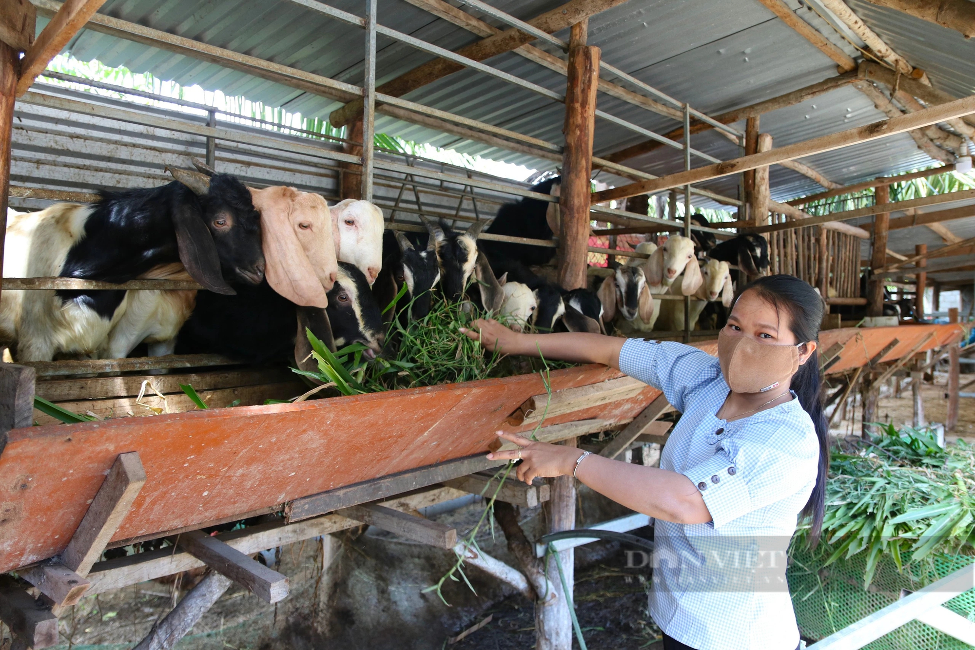 Quỹ Hỗ trợ nông dân giúp phát triển kinh tế và xây dựng nông thôn mới ở Ninh Thuận- Ảnh 2.