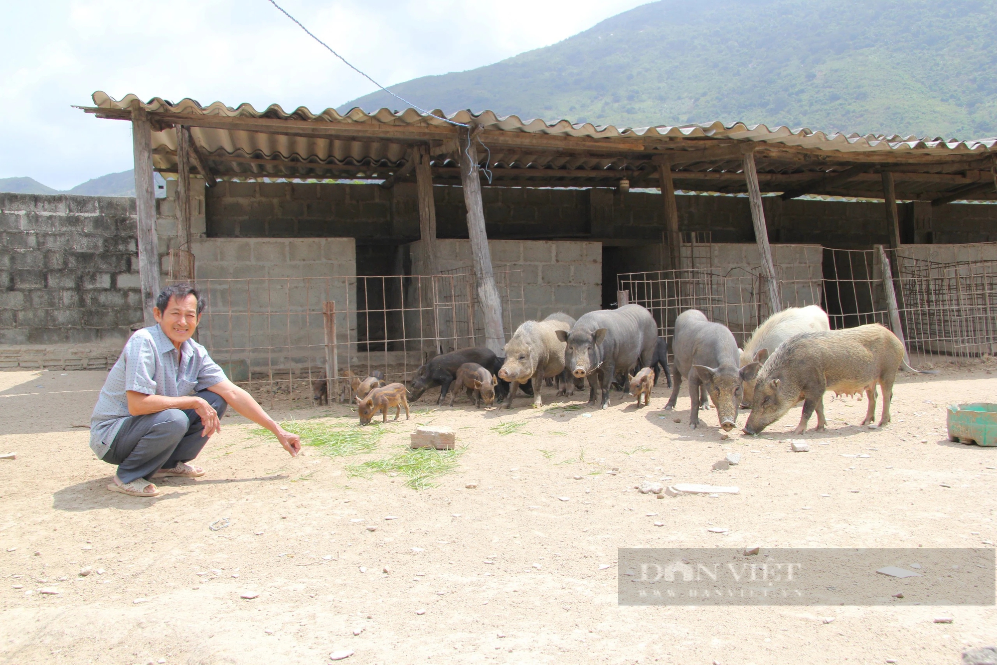 Quỹ Hỗ trợ nông dân giúp phát triển kinh tế và xây dựng nông thôn mới ở Ninh Thuận- Ảnh 3.