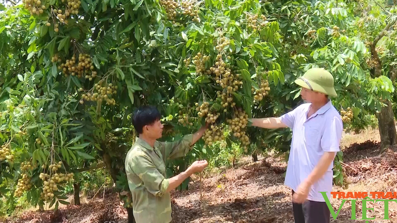 Xây dựng nông thôn mới ở huyện vùng cao biên giới- Ảnh 2.