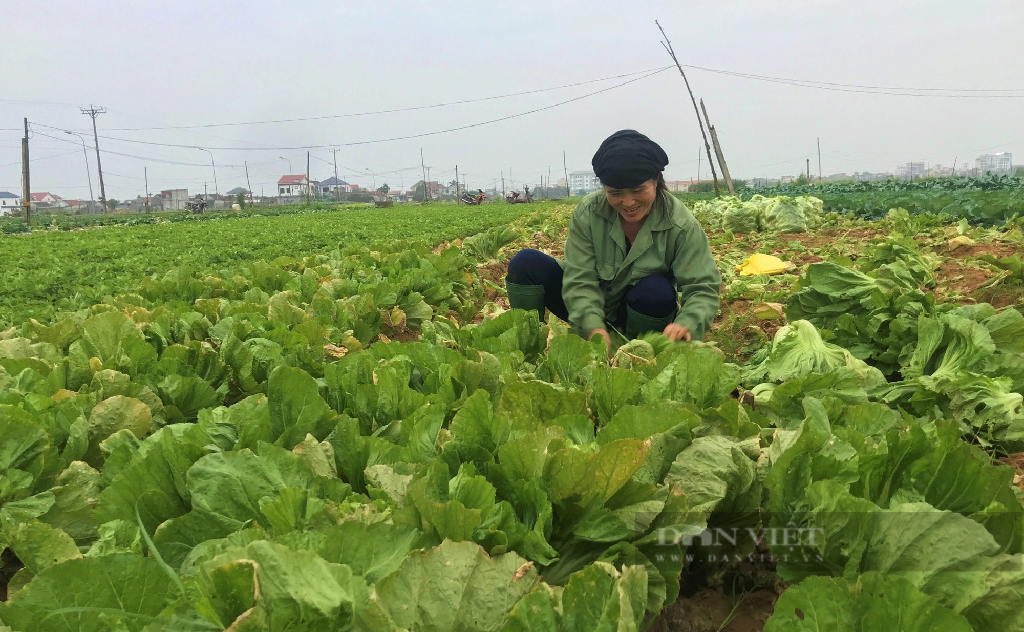Nông dân Nghệ An phấn đấu sản xuất 90.000 tấn phân bón hữu cơ vi sinh- Ảnh 2.