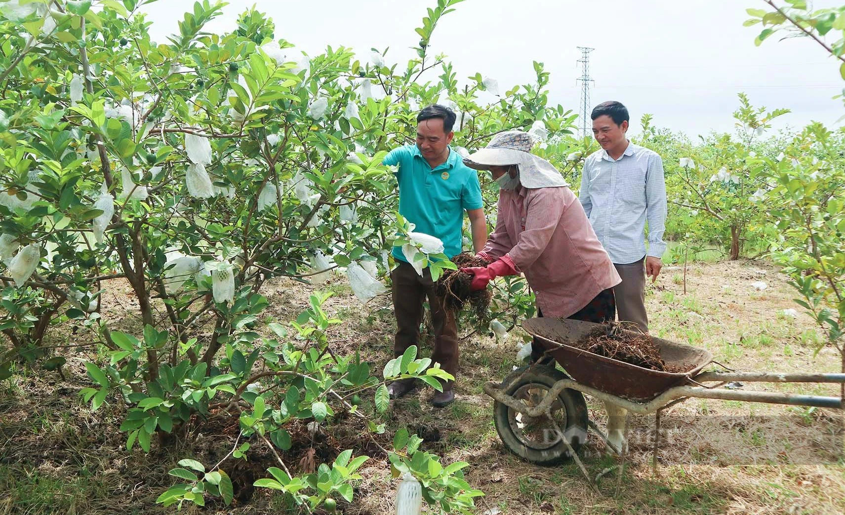 Nông dân Nghệ An phấn đấu sản xuất 90.000 tấn phân bón hữu cơ vi sinh- Ảnh 4.