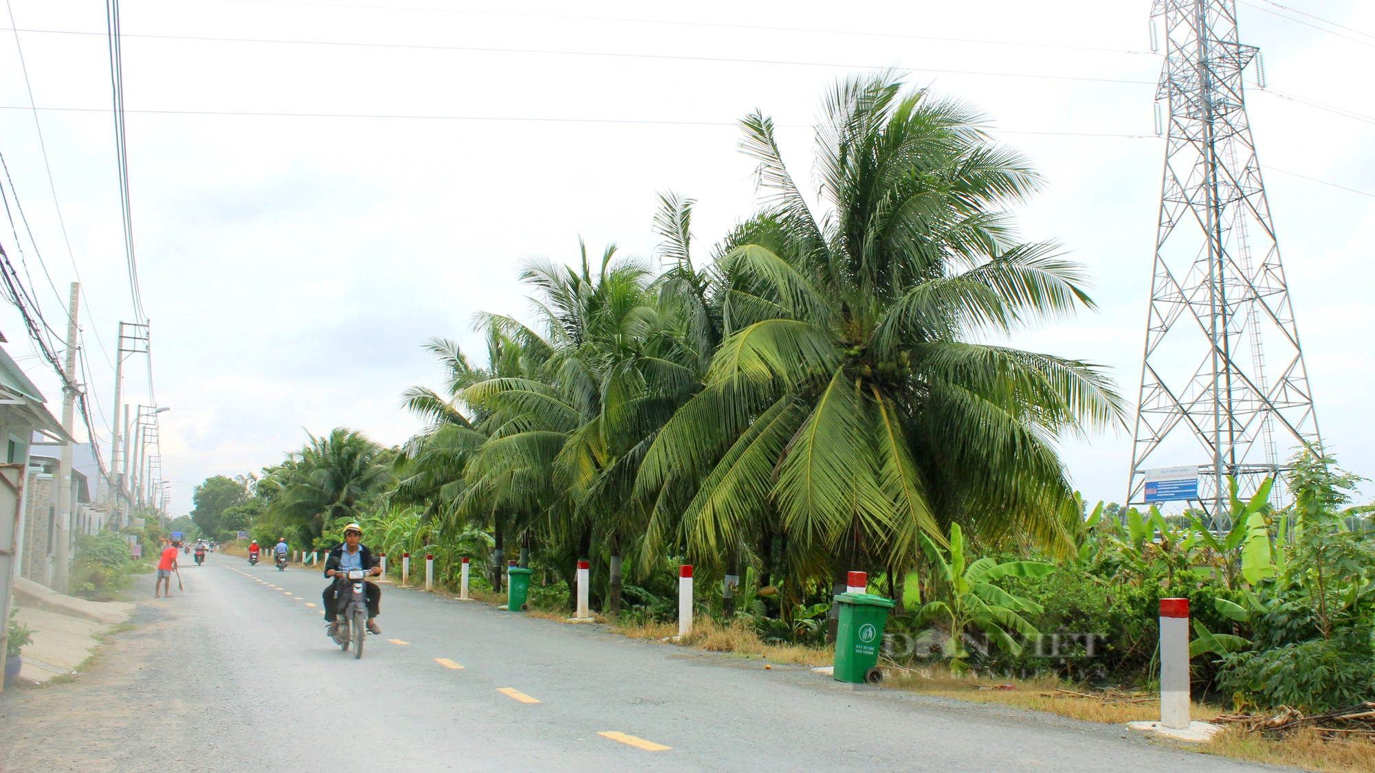 Đường giao thông nông thôn ở huyện Bình Chánh. Ảnh: Mạnh Hùng