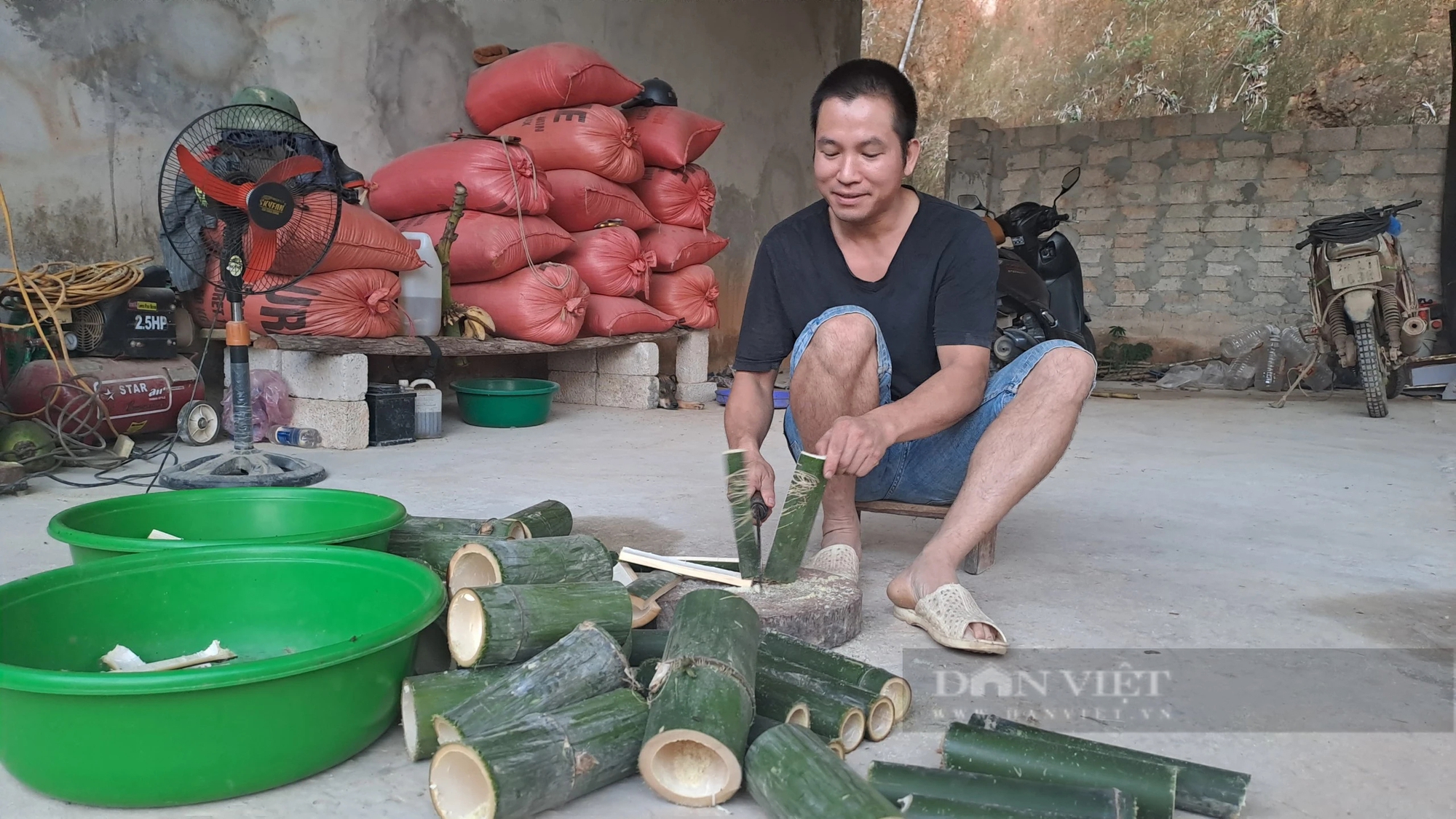 Chuyển sang nuôi con vật chỉ chăm ăn tre, nứa, nông dân một xã ở Thái Nguyên khá giả hẳn lên- Ảnh 3.