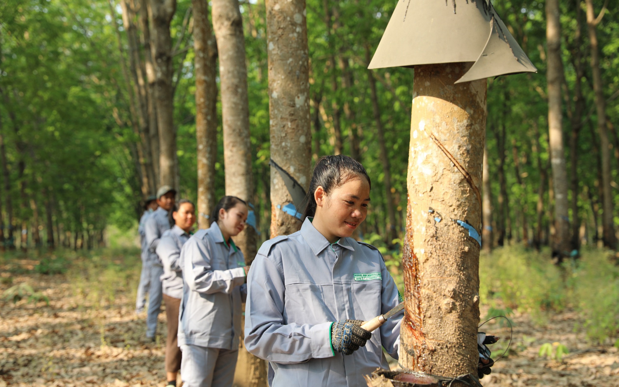 THACO AGRI hướng tới mô hình phát triển nông nghiệp bền vững