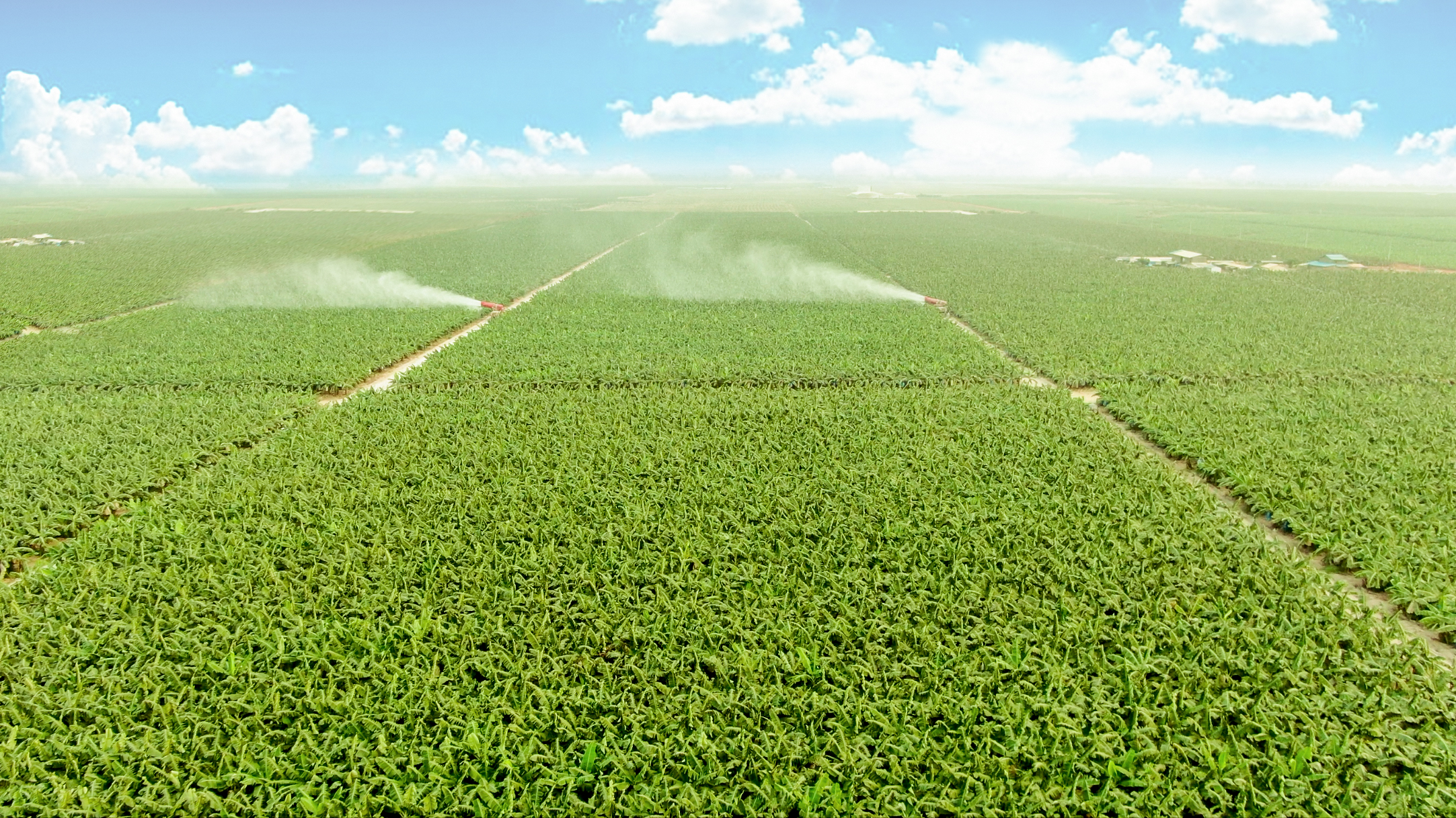 THACO AGRI hướng tới mô hình phát triển nông nghiệp bền vững - Ảnh 1.