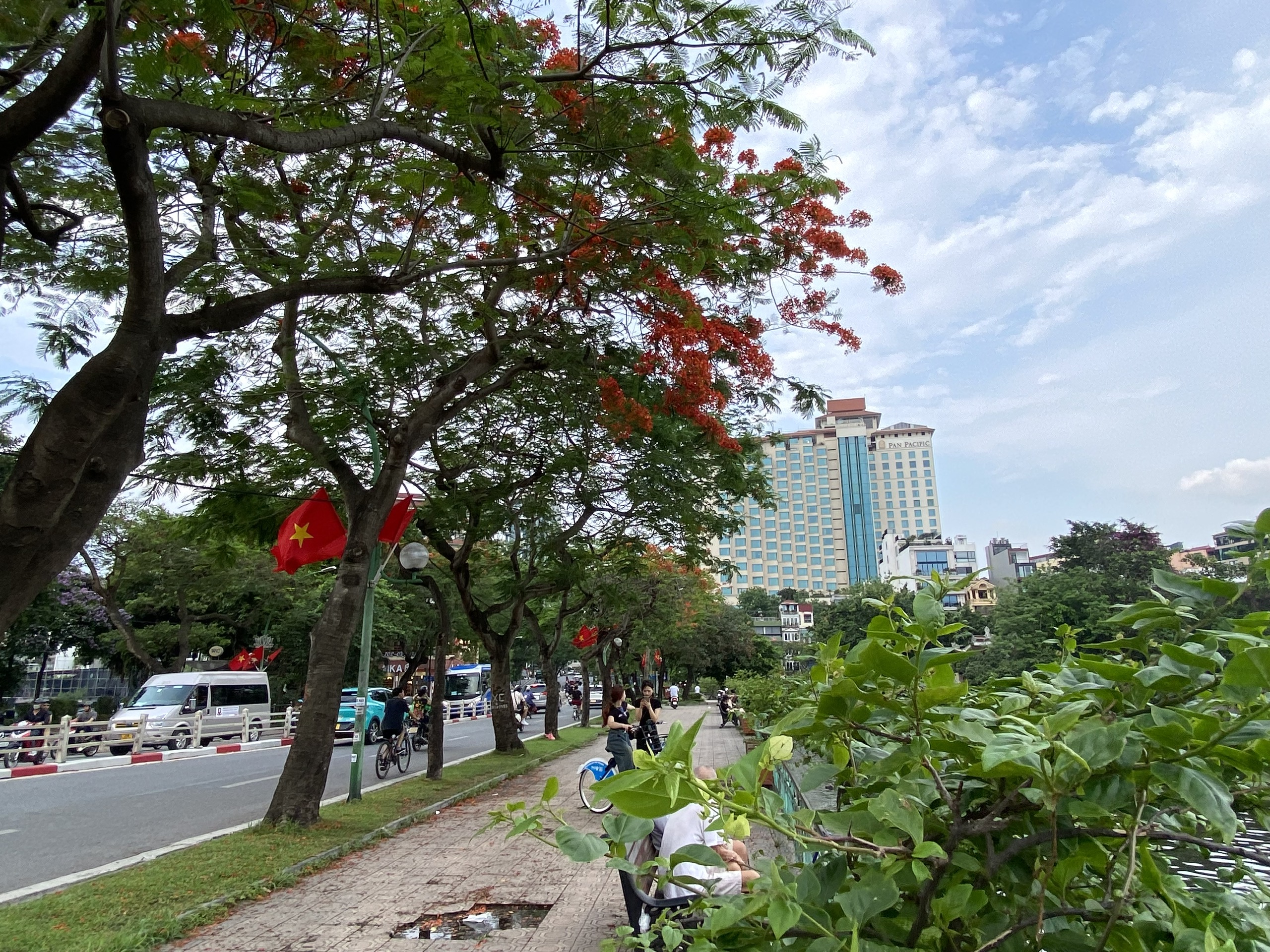 Hoa phượng khoe sắc đỏ rực trên tuyến đường "lãng mạn nhất Thủ đô"- Ảnh 1.