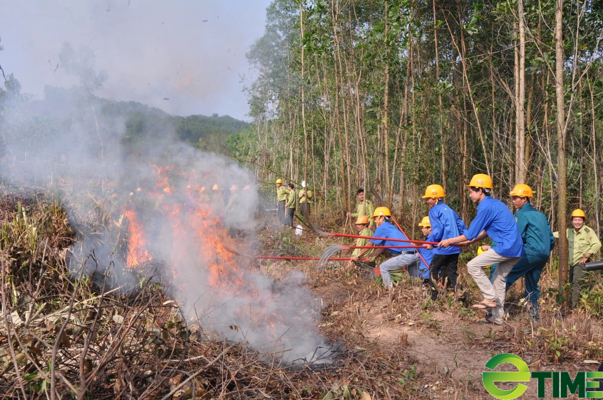 Tỉnh Quảng Nam cần được hỗ trợ gần 25 tỷ đồng để phòng chống chữa cháy rừng- Ảnh 1.