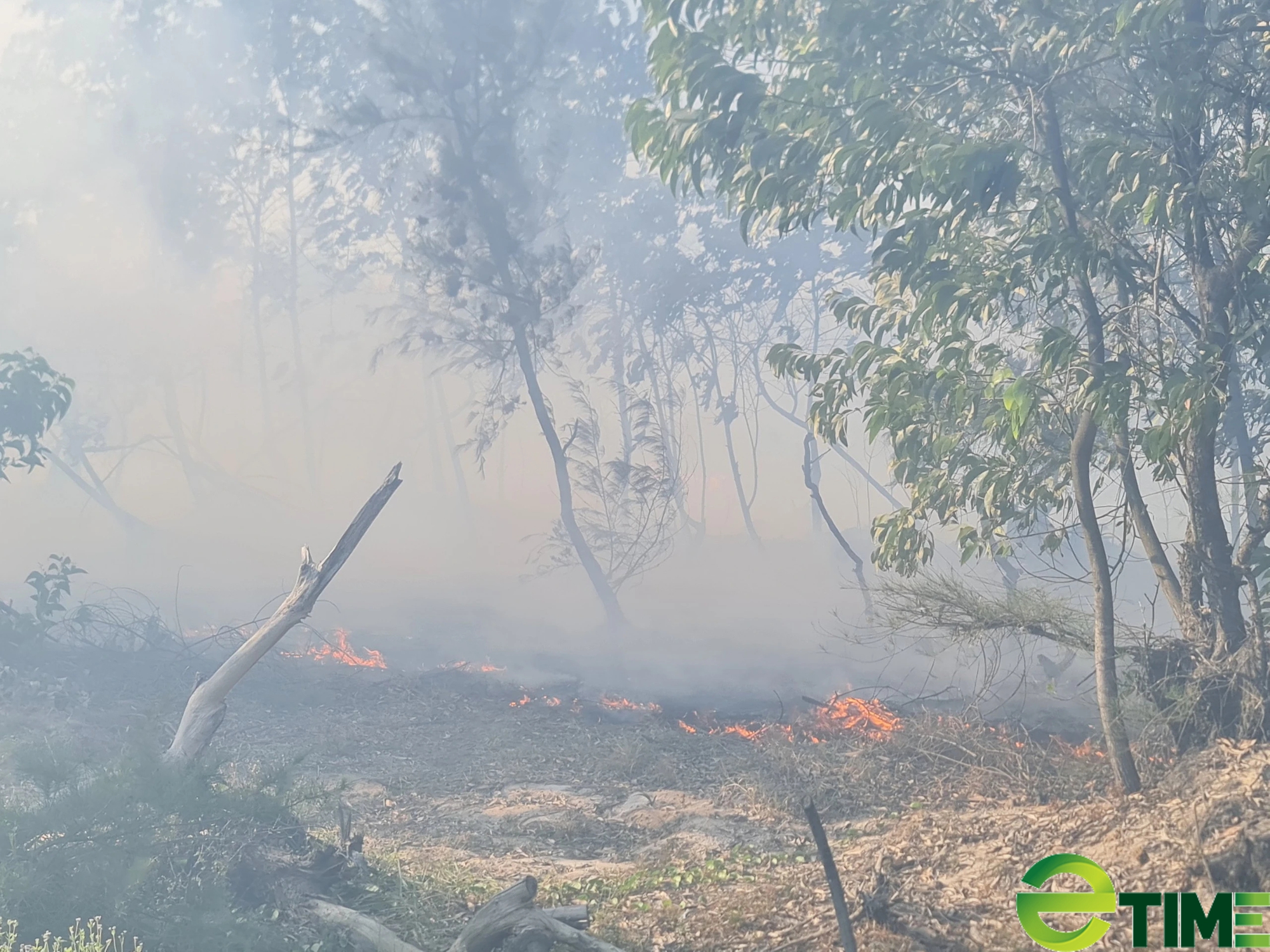 Tỉnh Quảng Nam cần được hỗ trợ gần 25 tỷ đồng để phòng chống chữa cháy rừng- Ảnh 2.