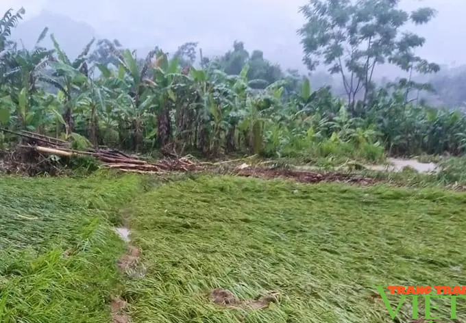 Lào Cai: Xã du lịch của bà con người Tày huyện Bảo Yên thiệt hại nặng do mưa lũ- Ảnh 4.