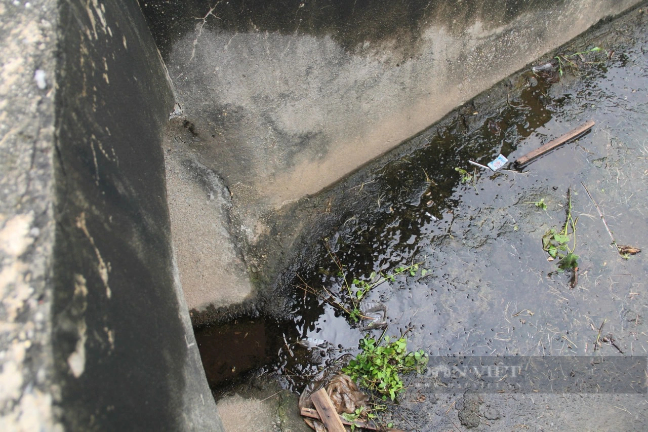 Hồ điều hòa Trung Văn “khát” nước dù Hà Nội mưa nhiều- Ảnh 4.
