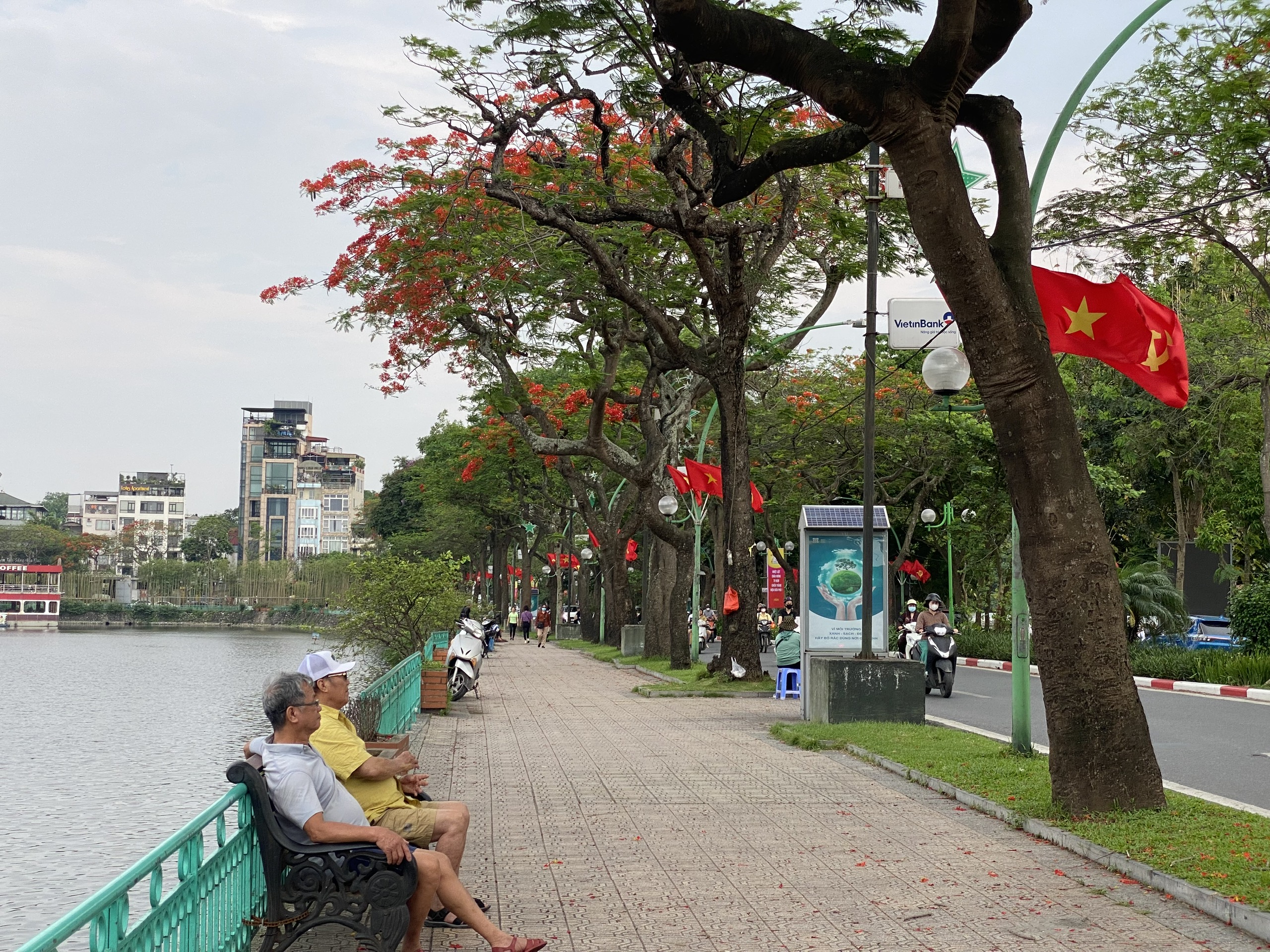 Hoa phượng khoe sắc đỏ rực trên tuyến đường "lãng mạn nhất Thủ đô"- Ảnh 3.