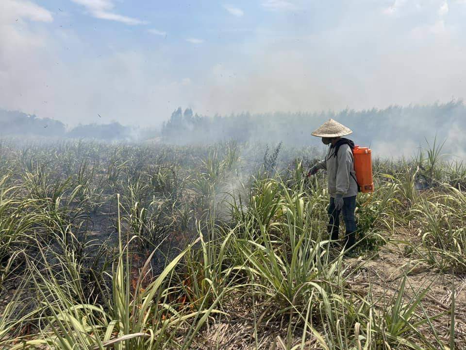 Đã khống chế đám cháy rừng keo và mía ở Khánh Hòa- Ảnh 1.