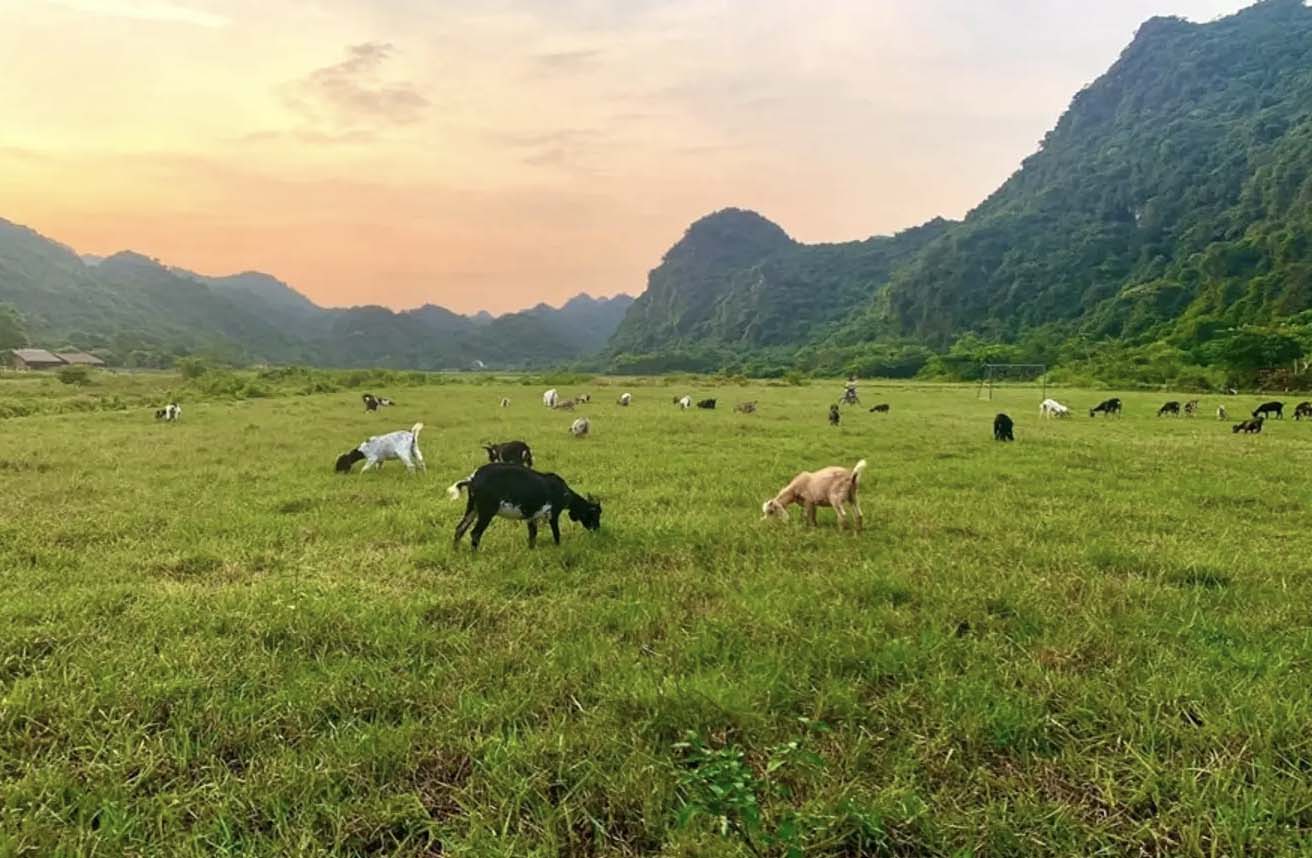 Du khách nên khám phá ngôi làng cổ 100 năm tuổi – Nơi được ví chốn thiên đường bình yên- Ảnh 4.