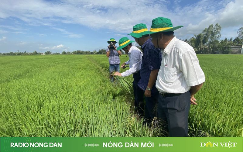 Nông dân mới ngày 09/05/2024- Ảnh 1.