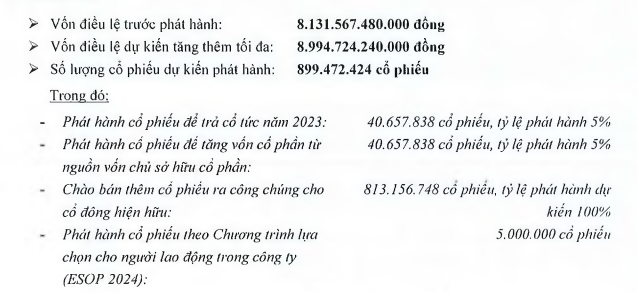 Chứng khoán SHS trình kế hoạch tăng vốn lên hơn 17.000 tỷ đồng- Ảnh 1.