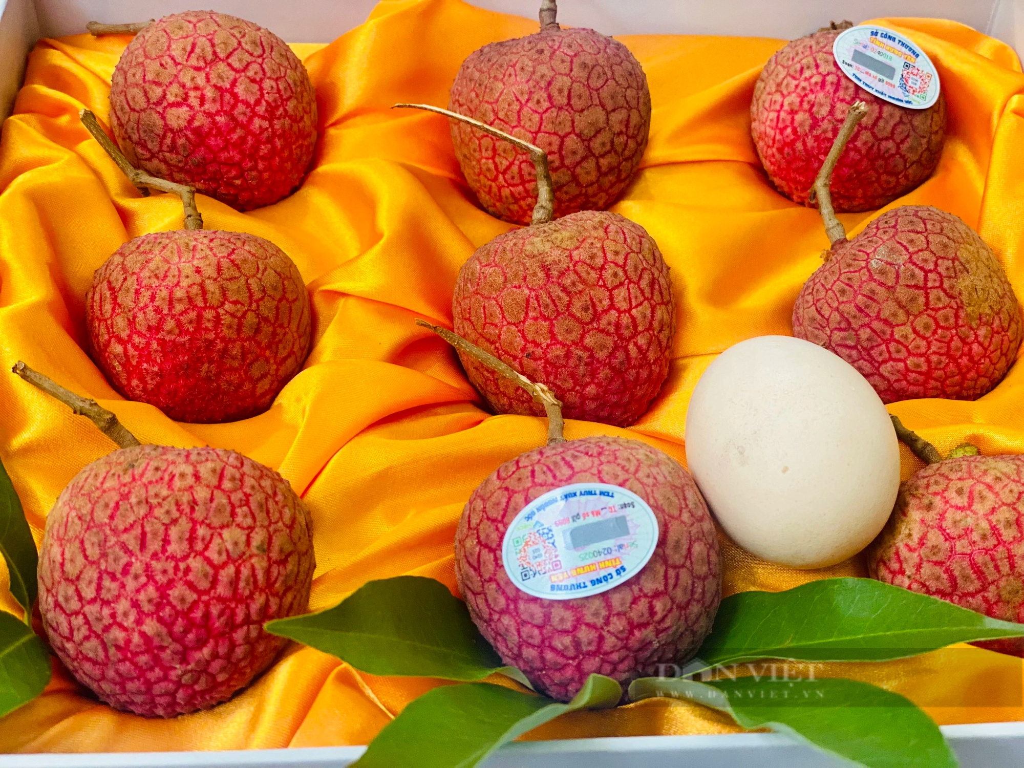 Một phiên chợ đang diễn ra tại khu đô thị Ecopark, bán thứ quả đặc sản chỉ có ở Hưng Yên, giá 220.000 đồng/kg- Ảnh 4.