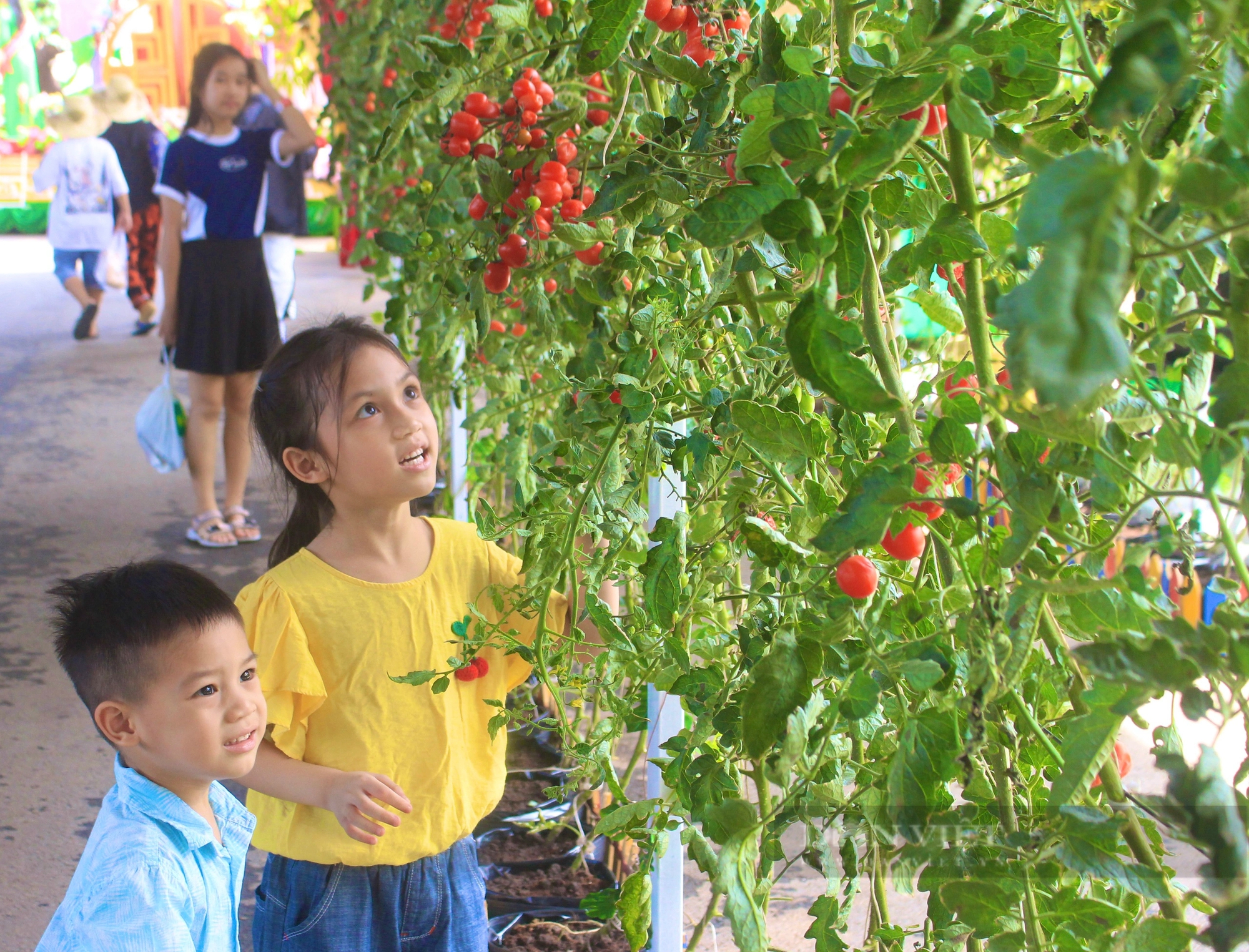 Suối Tiên miễn phí vé cho trẻ em ngày 1/6, hàng nghìn người đổ về chơi Lễ hội Trái cây Nam Bộ- Ảnh 6.